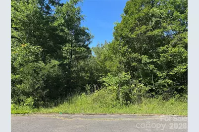 1129 Flint Street Extension, Rock Hill, SC 29730 - Photo 2