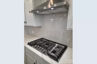 812 E 19th Street, Charlotte, NC 28205 - Photo 12