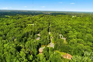 254 Streamside Pl, Mooresville, NC 28115 - Photo 46