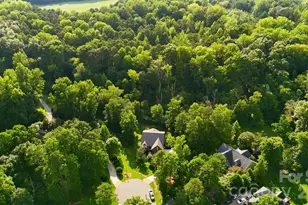 254 Streamside Pl, Mooresville, NC 28115 - Photo 48