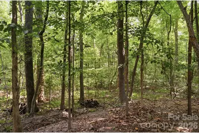 15000 Kinnegal Lane, Charlotte, NC 28278 - Photo 46