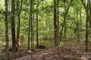 15000 Kinnegal Ln, Charlotte, NC 28278 - Photo 46
