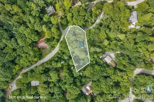 211 Foxgrape Hollow, Beech Mountain, NC 28604 - Photo 20
