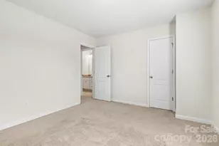 16823 Cozy Cove Rd, Charlotte, NC 28278 - Photo 20