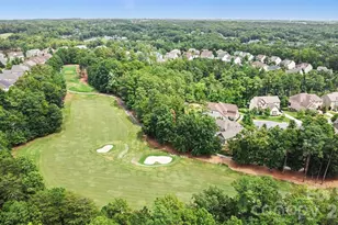 16823 Cozy Cove Rd, Charlotte, NC 28278 - Photo 36