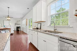 16823 Cozy Cove Rd, Charlotte, NC 28278 - Photo 10