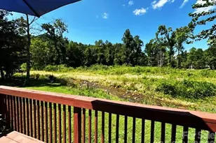 45 Reedy Creek Ct, Hendersonville, NC 28792 - Photo 42