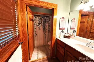 45 Reedy Creek Ct, Hendersonville, NC 28792 - Photo 22