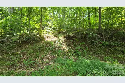 310 High Cliff Drive, Waynesville, NC 28786 - Photo 6