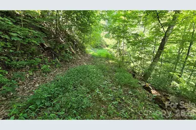 310 High Cliff Drive, Waynesville, NC 28786 - Photo 10
