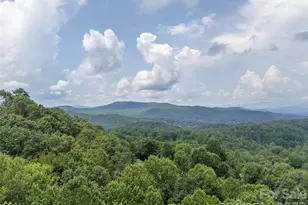 75 Old Hickory Trail, Hendersonville, NC 28739 - Photo 46