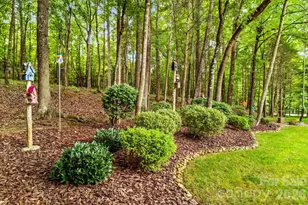 189 River Birch Cir, Mooresville, NC 28115 - Photo 44