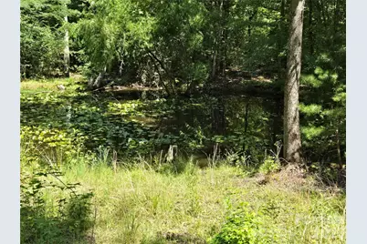 2440 Mount Lebanon Road, Campobello, SC 29322 - Photo 36