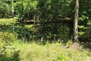 2440 Mt Lebanon Rd, Campobello, SC 29322 - Photo 36
