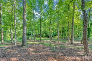 2440 Mt Lebanon Rd, Campobello, SC 29322 - Photo 38