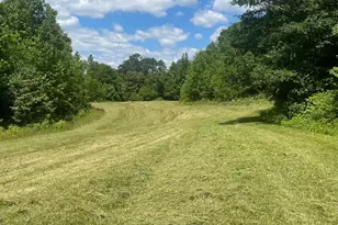 2440 Mt Lebanon Rd, Campobello, SC 29322 - Photo 32