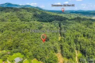277 Debbies Branch Dr, Old Fort, NC 28762 - Photo 32