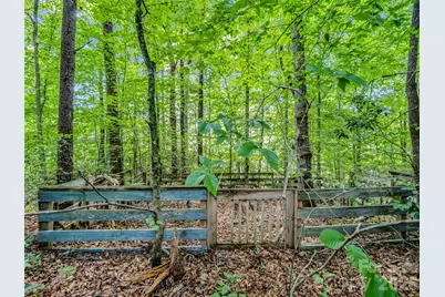 277 Debbies Branch Drive, Old Fort, NC 28762 - Photo 8