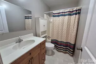 2306 Buffalo Shoals Rd, Lincolnton, NC 28092 - Photo 48
