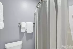 119 Downing Park Ct, Brevard, NC 28712 - Photo 34