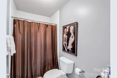 119 Downing Park Court #E, Brevard, NC 28712 - Photo 22