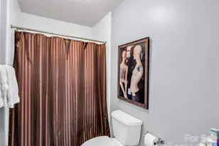 119 Downing Park Ct, Brevard, NC 28712 - Photo 22