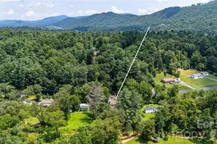 875 Mills Gap Rd, Fletcher, NC 28732 - Photo 36