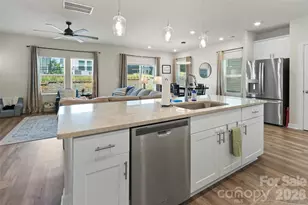 322 Hyssop Ct, Fort Mill, SC 29715 - Photo 8
