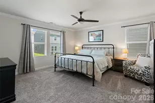 322 Hyssop Ct, Fort Mill, SC 29715 - Photo 20