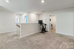 322 Hyssop Ct, Fort Mill, SC 29715 - Photo 28