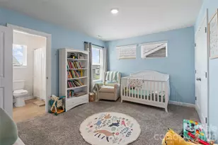 322 Hyssop Ct, Fort Mill, SC 29715 - Photo 34