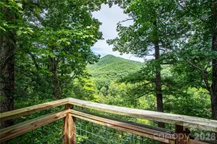 1295 Paint Rock Rd, Hot Springs, NC 28743 - Photo 38