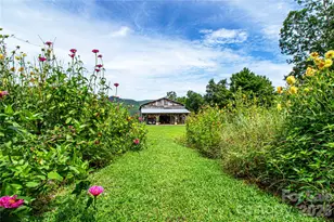 1295 Paint Rock Rd, Hot Springs, NC 28743 - Photo 10