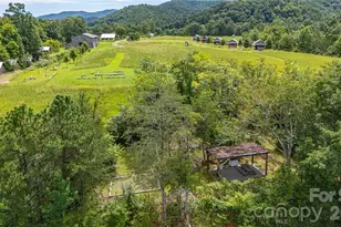 1295 Paint Rock Rd, Hot Springs, NC 28743 - Photo 6