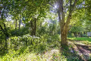 56 Longs Chapel Rd, Weaverville, NC 28787 - Photo 2