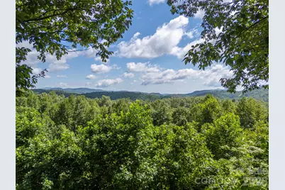 837 Big Raven Lane, Saluda, NC 28773 - Photo 48