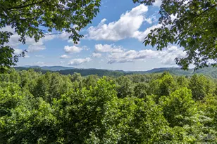 837 Big Raven Ln, Saluda, NC 28773 - Photo 48