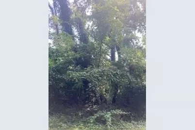 99999 Old Haw Creek Road #Lot 2, Asheville, NC 28805 - Photo 1