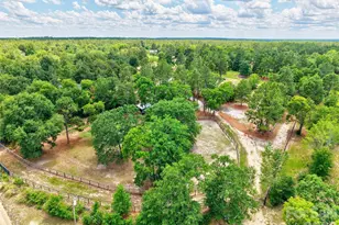 1377 Pine Rd, Camden, SC 29020 - Photo 12