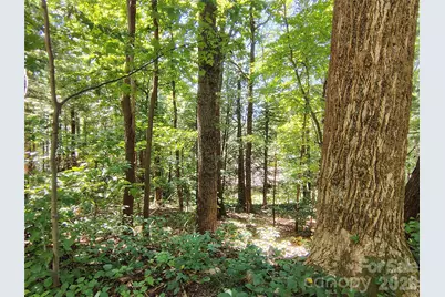 99999 Balsam Court #12B, Arden, NC 28704 - Photo 6