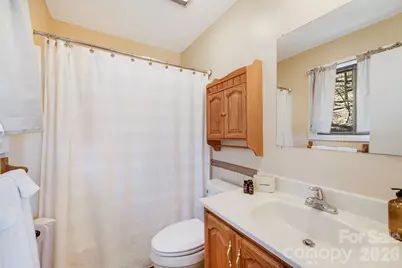 170 Lucas Lane, Mars Hill, NC 28754 - Photo 14