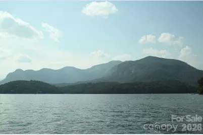 127 White Pine Drive, Lake Lure, NC 28746 - Photo 40