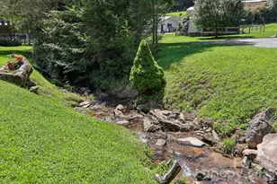 117 Pinellas Ln, Waynesville, NC 28785 - Photo 2