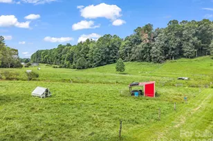 136 Limousine Ln, Pisgah Forest, NC 28768 - Photo 34