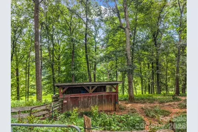 136 Limousine Lane, Pisgah Forest, NC 28768 - Photo 40