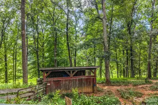 136 Limousine Ln, Pisgah Forest, NC 28768 - Photo 40