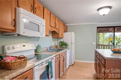 8 Galax Lane, Hendersonville, NC 28791 - Photo 38