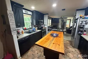 263 Coyote Pass Ln, Rutherfordton, NC 28139 - Photo 12