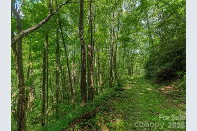 132 Grouse Road #131, 132, 133, 134, Clyde, NC 28721 - Photo 2
