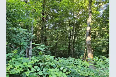 109 Big Ridge Road #109, Burnsville, NC 28714 - Photo 10